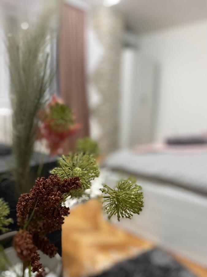 Apartman Bonaca Ni Kültér fotó