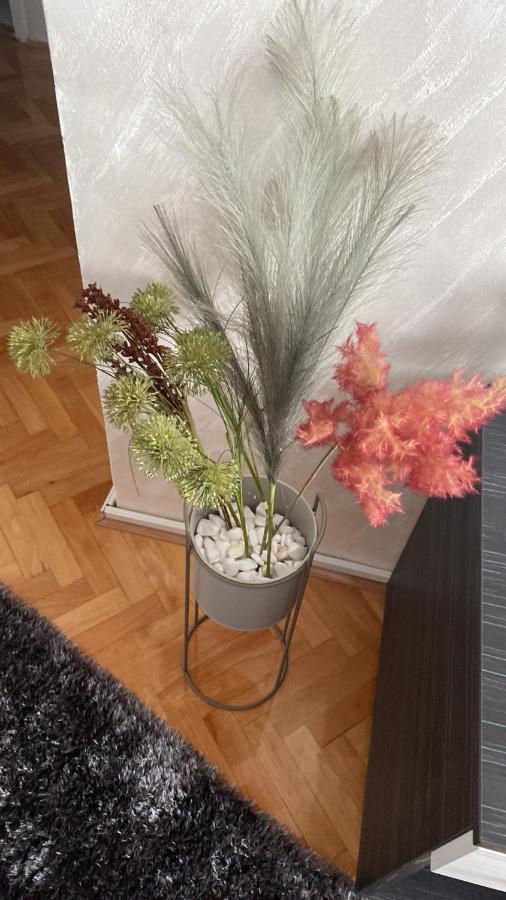 Apartman Bonaca Ni Kültér fotó
